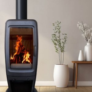 Zara Closed Combustion Fireplace